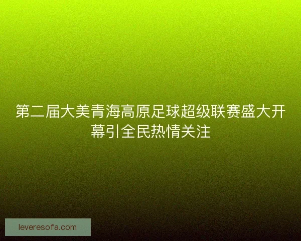 第二届大美青海高原足球超级联赛盛大开幕引全民热情关注